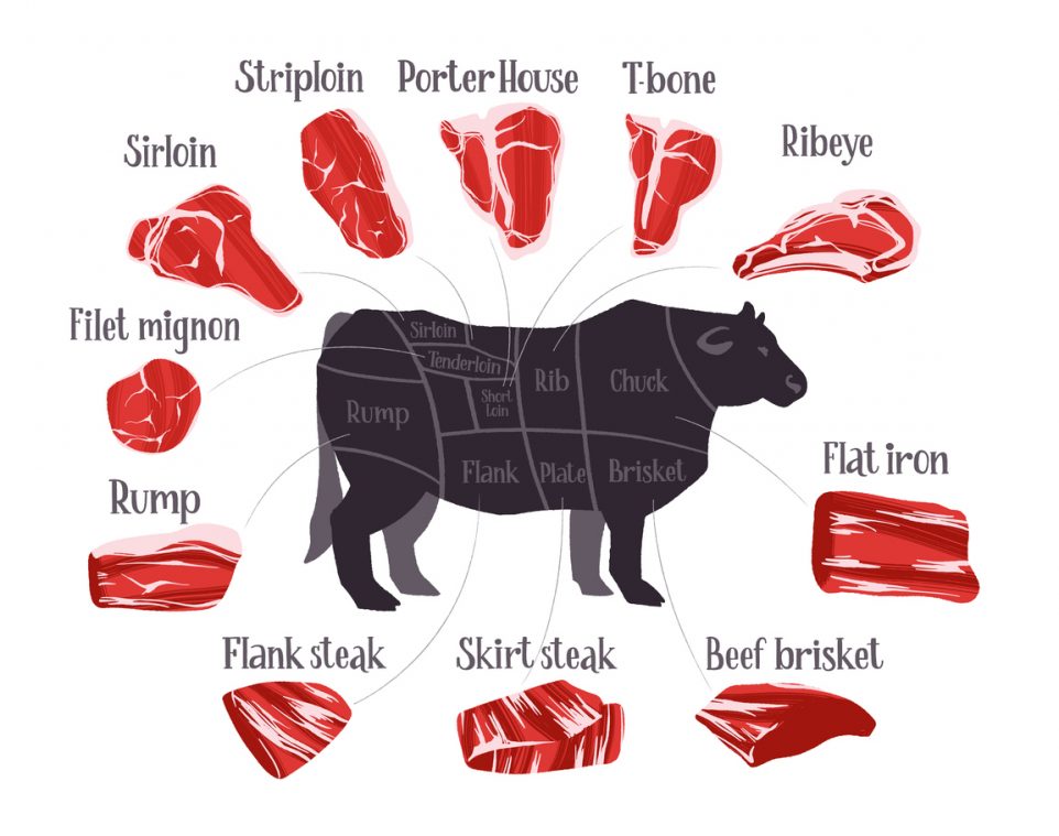 different cuts of meat