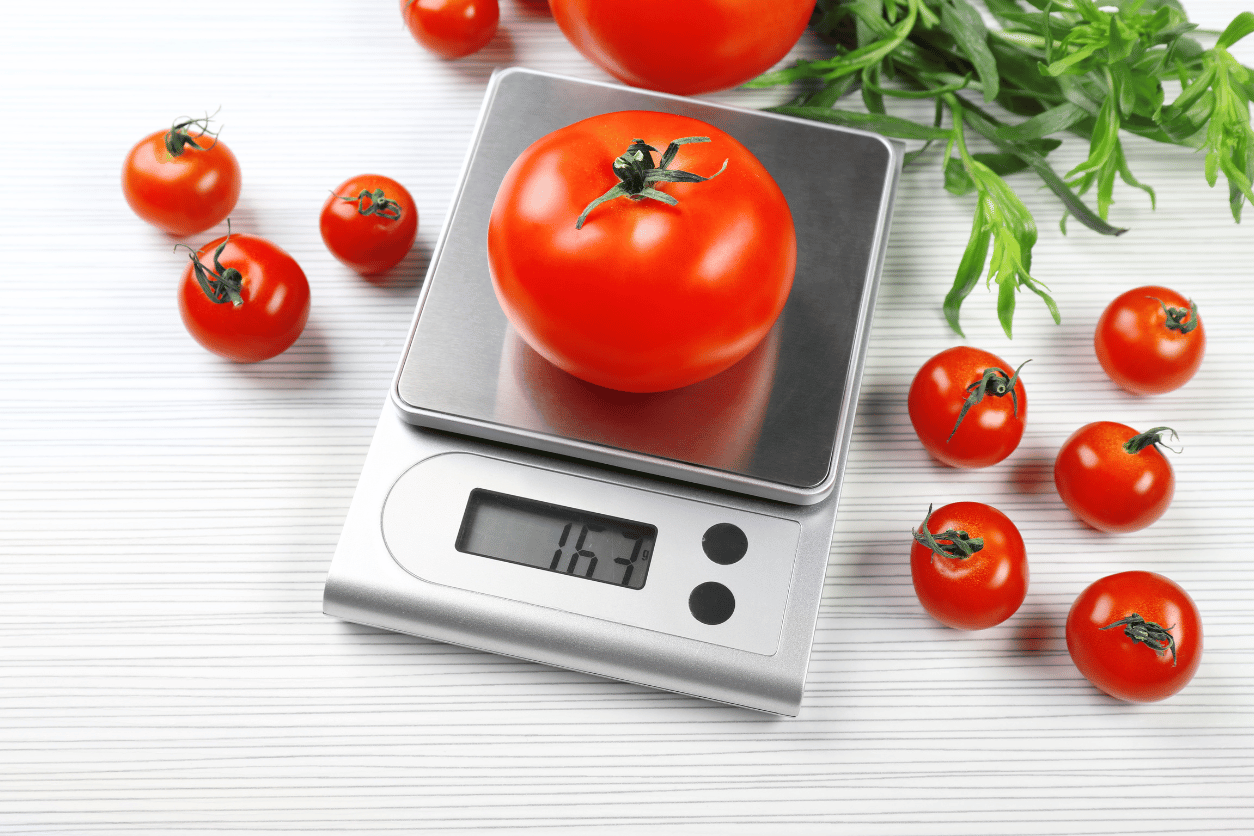 digital kitchen scale