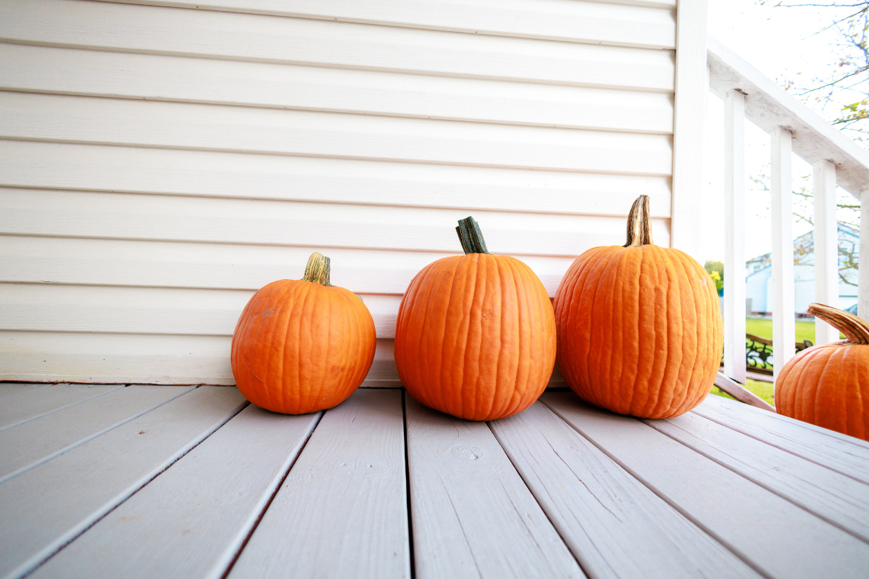 leftover halloween pumpkin